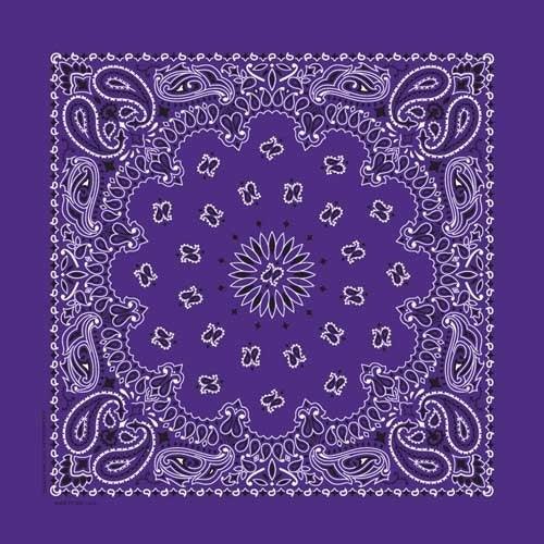 NT4406 Bandana Paisley Purple - Wind Angels